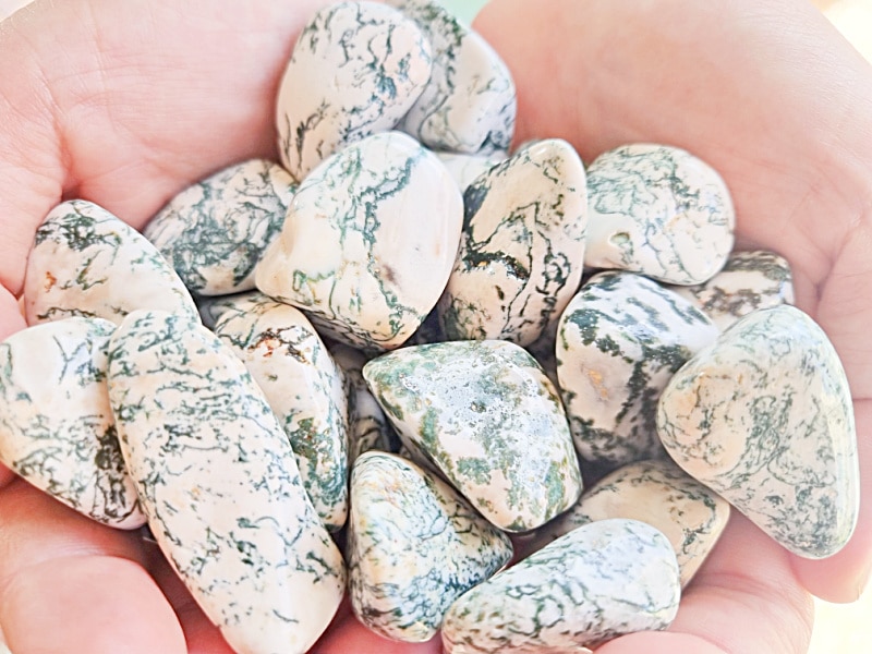 Tree Agate Crystal, Gemstones Cape Town, Crystals online