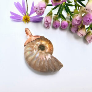 Ammonite Copper Pendant, copper, ammonite, fossil, gold, necklace, Planet: Saturn