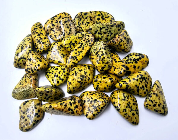 Dalmatian Jasper Tumble Stones