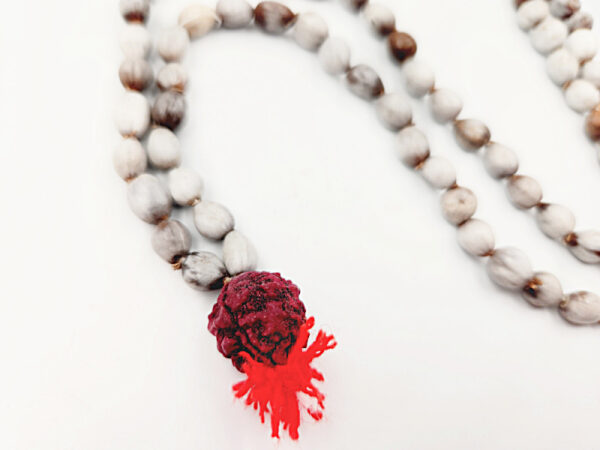 Vaijanti Seed Mala - Image 2