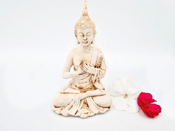 Buddha Statue (13cm) Teaching