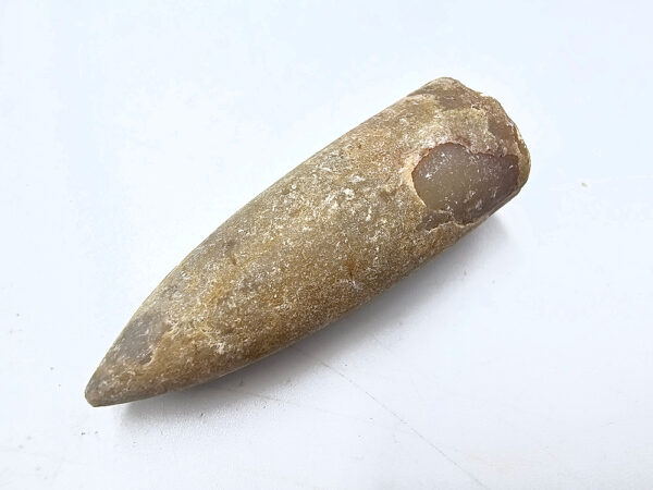 Belemnite Bullet Fossil C (13.1g)