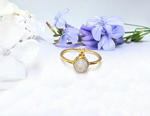 Brass Moonstone Round Ring With Circles (Adjustable)