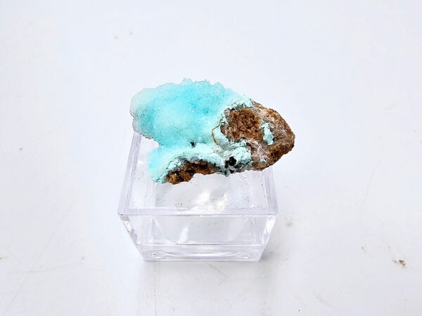 Drusy Chrysocolla Specimen A Grade (4.85)