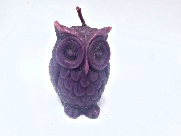 Mini Owl Candle