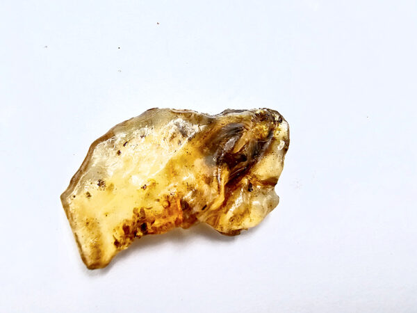 Natural Honey Gold Copal Amber Specimen R (RARE) 2.55g