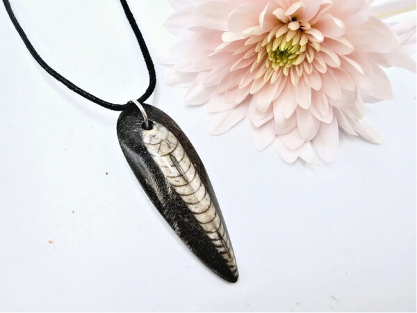 Orthoceros Fossil Necklace