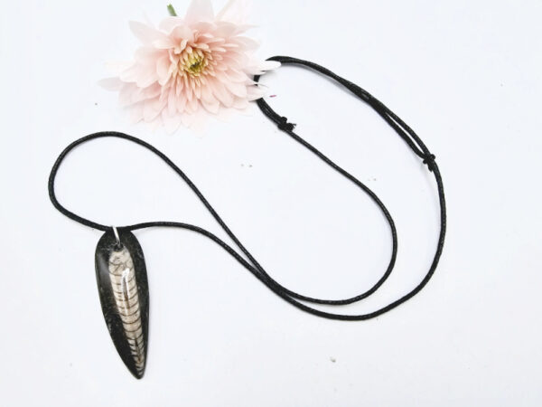 Orthoceros Fossil Necklace - Image 2