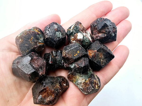 Pyrope Garnets with Fuchsite Rough  (15-25g)