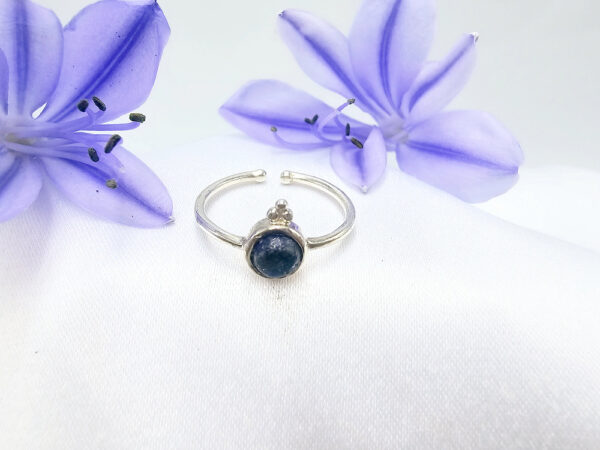 Lapis Lazuli Round Ring With Circles (925 Silver)