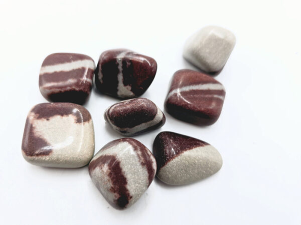 Shiva Lingam Tumbled Stones