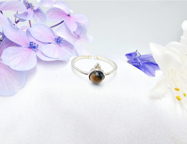 Tigers Eye Round Ring With Dots (925 Silver)