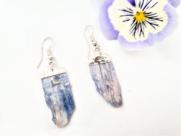 Raw Kyanite Earrings