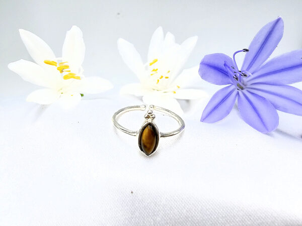 Tigers Eye Diamond Ring With Dots (925 Silver)