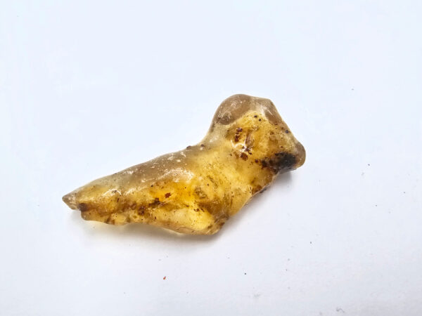 Natural Honey Gold Copal Amber Specimen (RARE) 3g