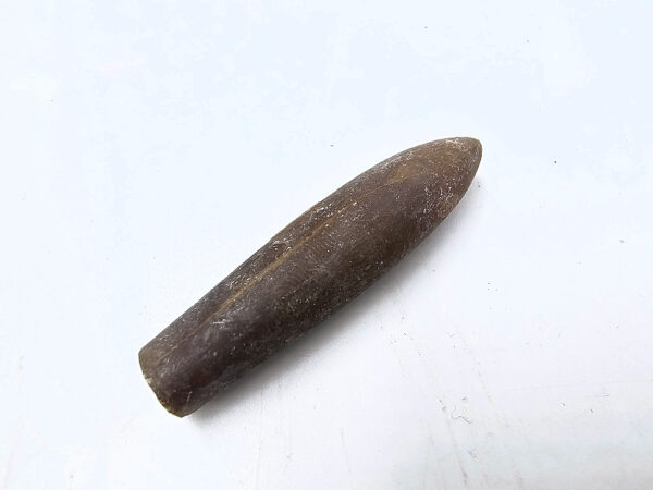 Belemnite Bullet Fossil G (9g)