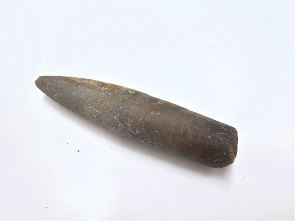 Belemnite Bullet Fossil H (16g)