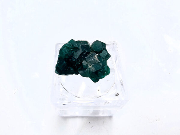 Dioptase Specimen Y (3g)