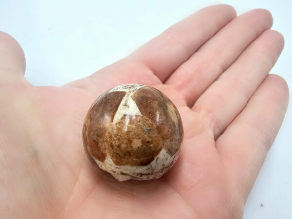 Garnet In Limestone Sphere (9cm Circumf)