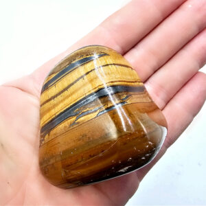 Hello Indigo Halo Online Store Tigers Eye Freeform Polished E 182g