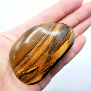 NEW Tigers Eye Freeform Polished H 186g