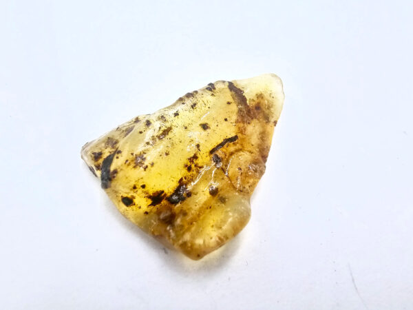 Natural Honey Gold Copal Amber Specimen C (RARE) 1g