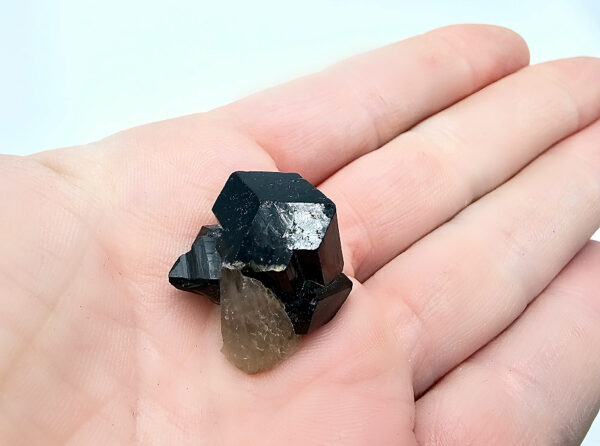 Black Tourmaline Rough Cluster (9g) Smoky Point