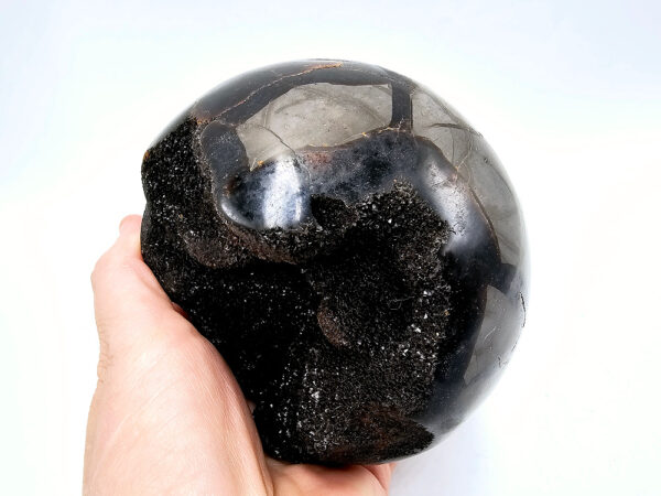 Large Septarian Geode (Dragon Egg) 1.4Kg - Image 2