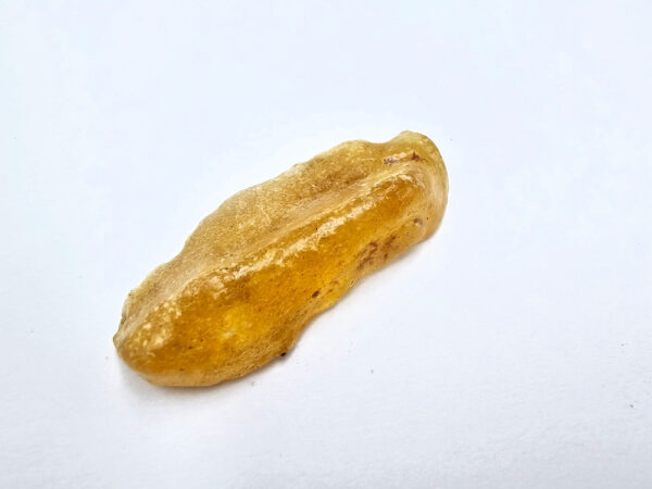 Natural Hone Gold Copal Amber Specimen E (RARE) 2g