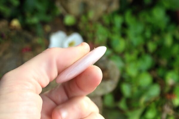 Rose Quartz Worry Stone - Image 2