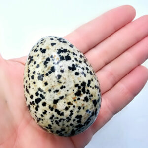 Hello Indigo Halo Online Store Dalmatian Jasper Egg A 166g