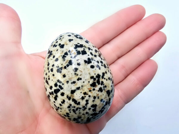 Dalmatian Jasper Egg  A (166g)