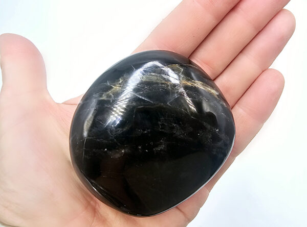 Pharaoh Palm Stone F (214g)