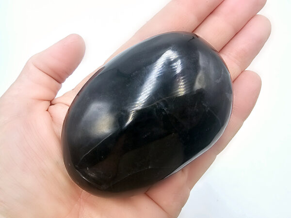 Pharaoh Palm Stone H (220g)