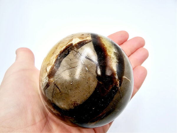 Septarian Sphere (Dragon Egg) C 464g