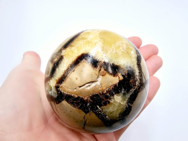 Septarian Sphere (Dragons Egg) D 484g