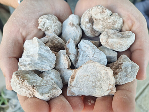 Angelite Rough Crystal Pieces