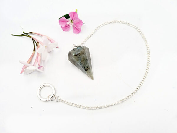 Labradorite Pendulum Point