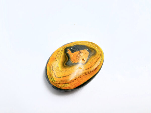 Bumble Bee Jasper with yellow markings