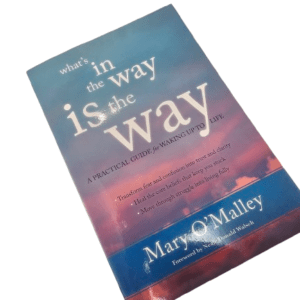 Whats in the Way (Mary O'Malley) book