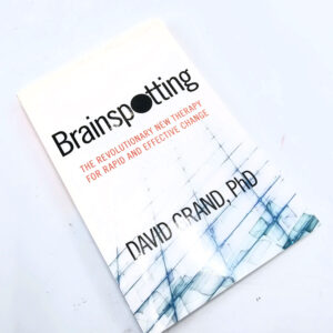 Brain spotting book