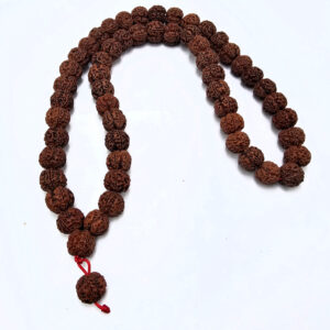 Rudraksha Mala Necklace 5 Mukhi (18mm)