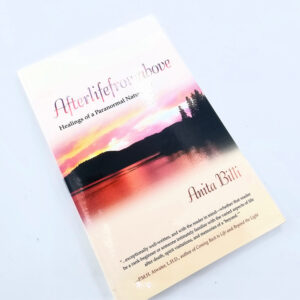 afterlife from above book
