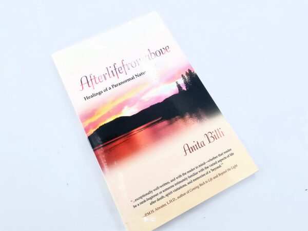 afterlife from above book