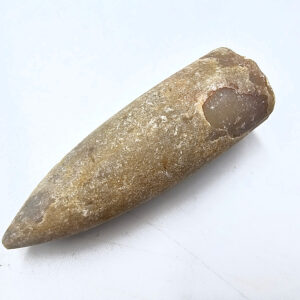Belemnite Bullet Fossil C (13.1g)