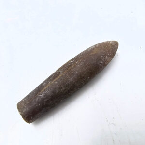 Belemnite Bullet Fossil G (9g)