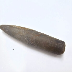 Belemnite Bullet Fossil H (16g)