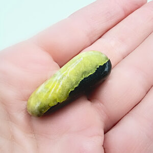 Bumble Bee Jasper  (13g)