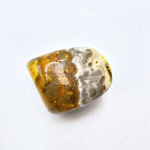 Bumble Bee Jasper Polished F (16.3g)