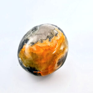 Bumble Bee Jasper Polished G (24g)